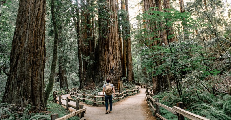 hiker looking at fork in the road, false prophets don't teach jesus is the only way